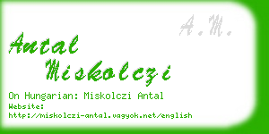 antal miskolczi business card